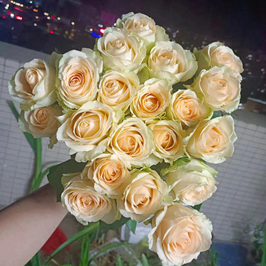 顺丰冷链云南玫瑰鲜花新鲜到家基地直发家用水培鲜切花节日礼物女神节 商品图5