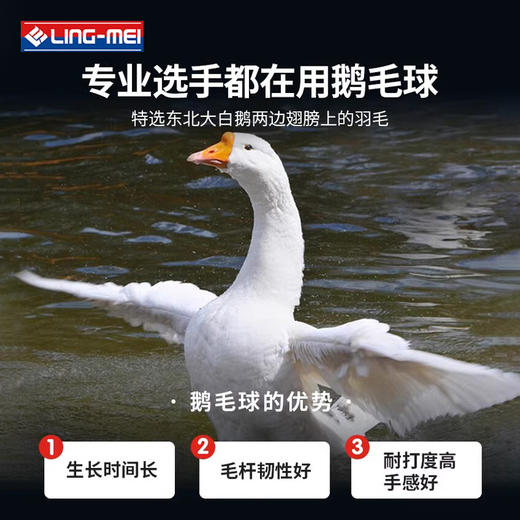 翎美 羽毛球 F6 鹅毛 12支装 商品图3