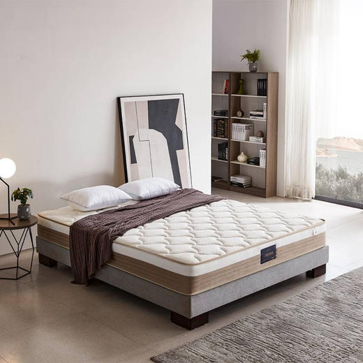 领航者床垫/TB205 商品图1