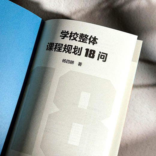 学校整体课程规划18问 杨四耕著 学校课程变革 课程决策 商品图5