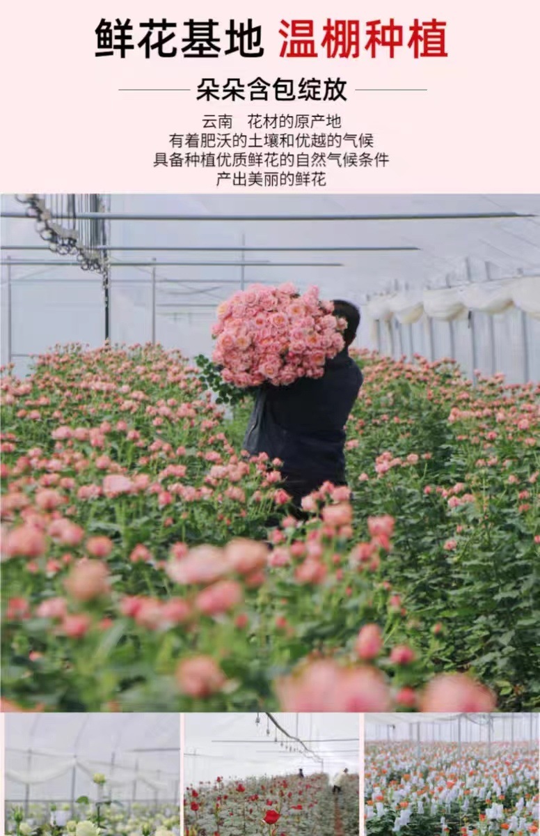 b26beea7-d032-40cd-b606-370ed9b5cbe9.jpe