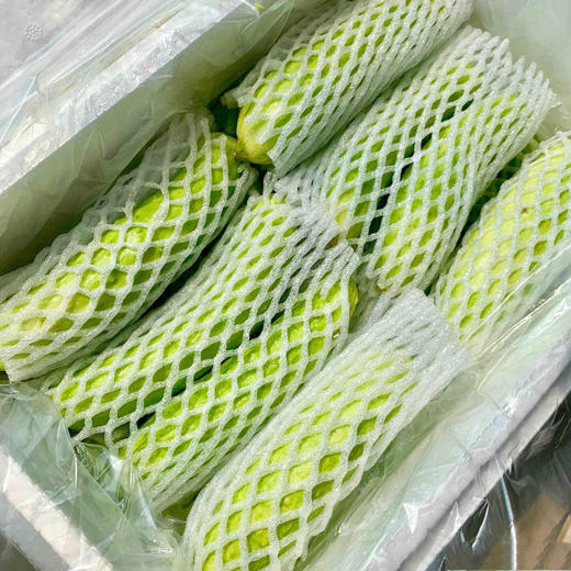 海阳白玉黄瓜 商品图7