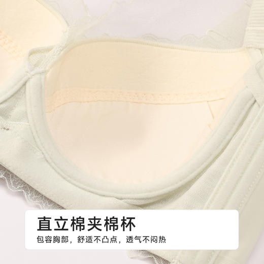 都市丽人舒软挺塑调整型文胸超薄蕾丝软钢圈塑身文胸LJH2B9 商品图6