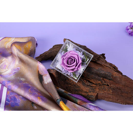 礼物】金三塔真丝印花方巾+玫瑰永生花送礼套装（玫瑰故事）JZHF802 商品图2