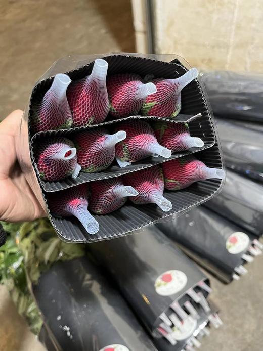 云南昆明玫瑰花鲜花批发基地卡罗拉红玫瑰鲜切花直发婚庆节日用花 商品图3