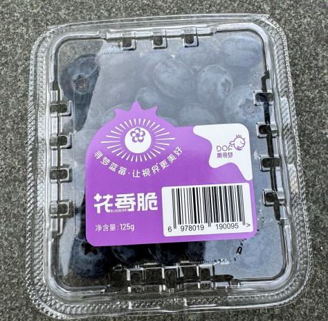 辉展-蓝莓125g/盒 商品图0
