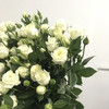 多头玫瑰·白泡泡 商品缩略图3