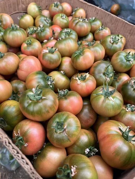 草莓柿子 商品图8