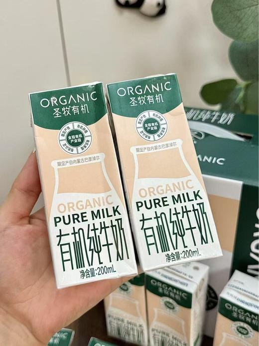 蒙牛圣牧有机纯牛奶一箱 商品图2