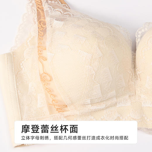 都市丽人聚拢升杯B杯常规内衣中厚蕾丝无钢圈常规文胸YBH5C2 商品图4