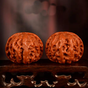 一盘就红高瓷苹果圆狮子头文玩核桃  优选老树自然生长真核桃手把件盘玩核桃