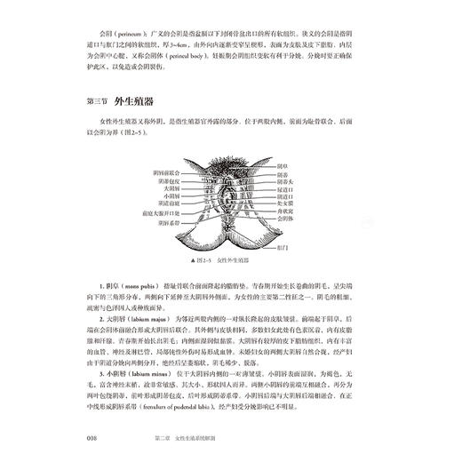 妇产科学 第5五版 十四五规划新形态教材 全国高等学校教材 王建六漆洪波 供临床预防口腔护理检验影像专业高等学历继续教育等使用 商品图4