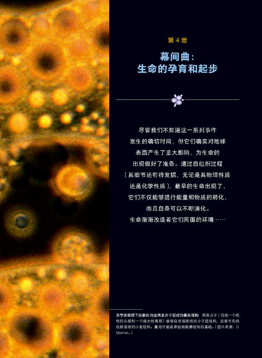太阳、地球、生命的起源：改变地球早期生命史的14个大事件 商品图4