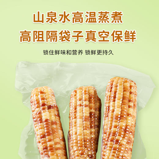 云南西双版纳香糯玉米 | 软嫩甜糯  轻食粗粮 商品图6