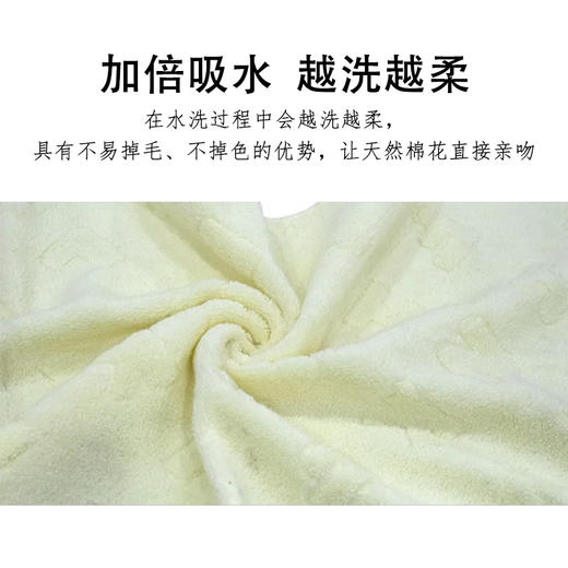 自营（菲小主）-艾舍儿 无捻提花毛巾 商品图2