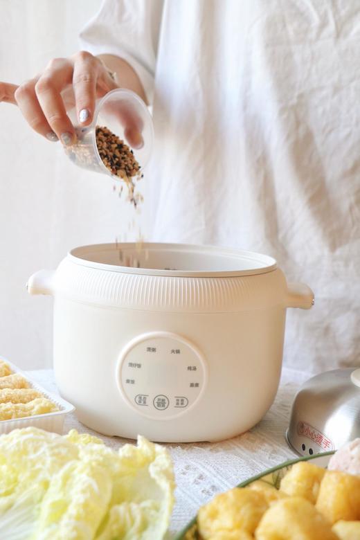 🍚直降100❗❗神价99元开抢❗比双十一更抵！🇩🇪德国百年大牌德世朗旗下博堡新品——1.6L专属mini多功能电饭煲🍚煮、焖、涮、炖样样行！  商品图5