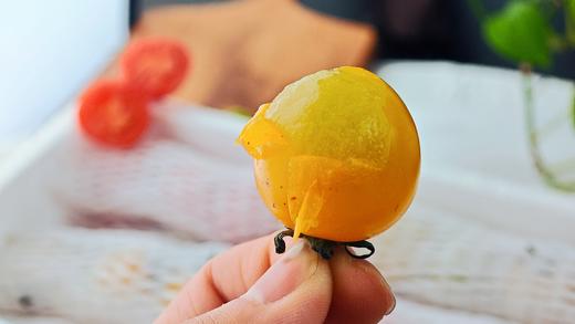 三色小番茄3斤装 商品图1