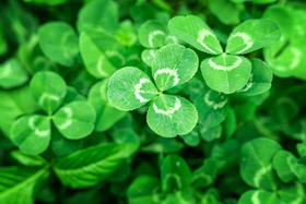 关于艾灸的准备，你想知道的都在这里！