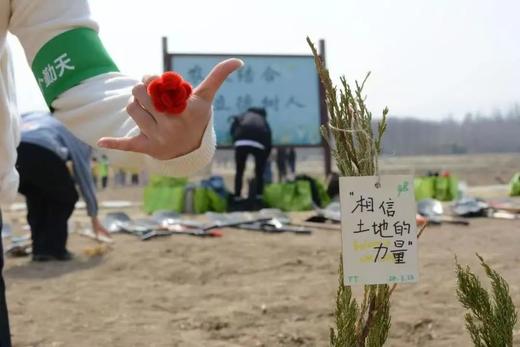 【京西稻保护区植树】积累2H志愿时长，手作石画、春日植树 商品图3