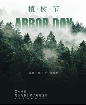 【京西稻保护区植树】积累2H志愿时长，手作石画、春日植树