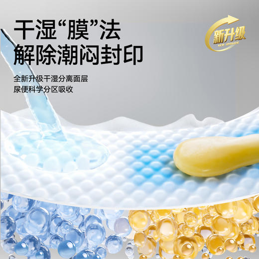 碧芭宝贝大鱼海棠Pro系列mini 1包+盛夏Pro金装plus1包纸尿裤拉拉裤组合 商品图3