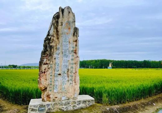 【京西稻保护区植树】积累2H志愿时长，手作石画、春日植树 商品图2