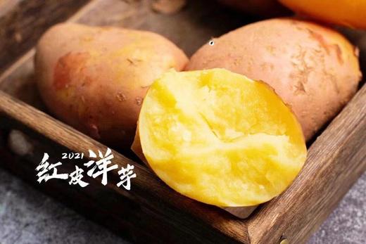 【分仓直发包邮】云南红皮黄心土豆4斤中大果（单果6-9两） 商品图3