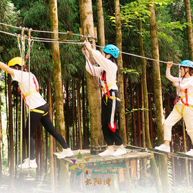 太阳湾·飞跃丛林乐园票