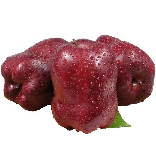 甘肃天水花牛苹果新鲜应当季水果宝宝辅食蛇果香甜粉整箱 商品图4