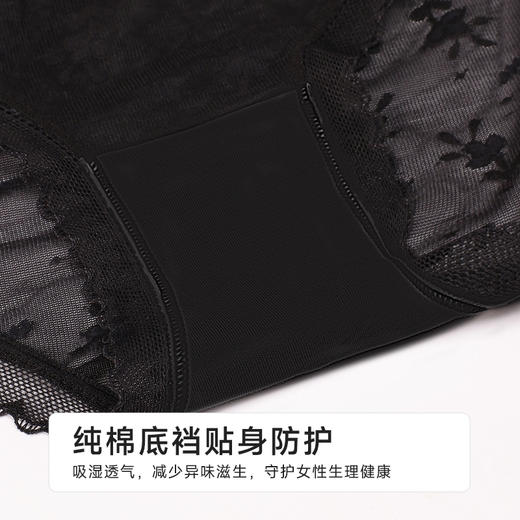 都市丽人薄透丝滑蕾丝网布系列蕾丝平角裤LKH5E1 商品图7