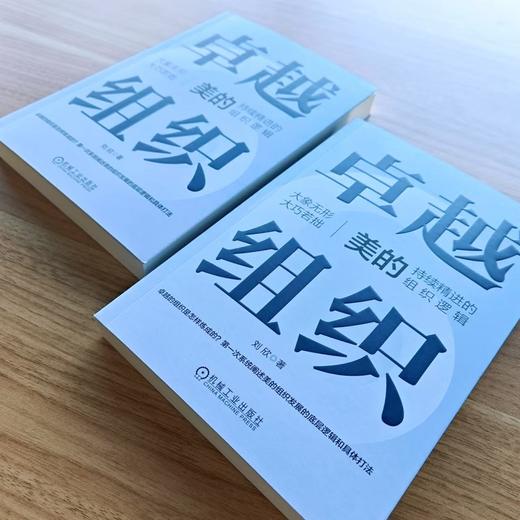 官网 卓越组织 美的持续精进的组织逻辑 刘欣 美的集团组织架构剖析 企业经营管理学书籍 商品图1