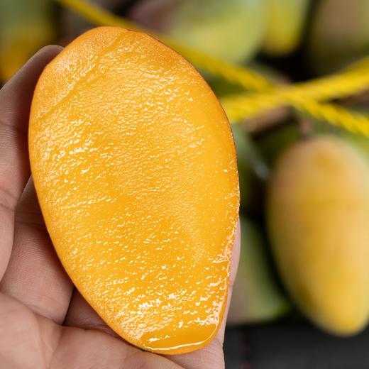 【果蔬精选】海南•树上熟贵妃芒 皮薄肉厚香味足 细腻可口 爽滑汁多 清甜味美 百吃不腻 新鲜采摘 产地直发 商品图6