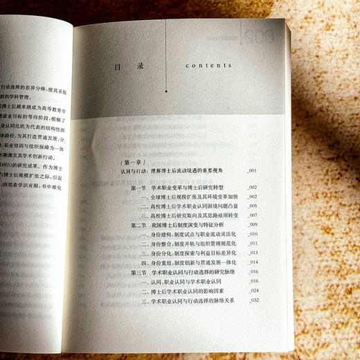 流动期的社会化 高校博士后学术职业认同与行动选择 蒋贵友 商品图6