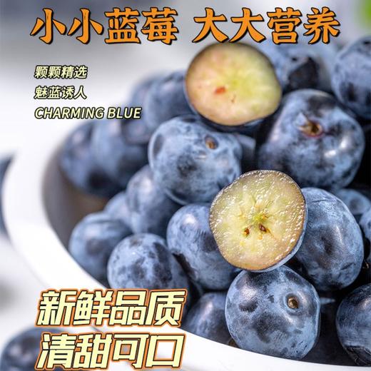 【云南·花香蓝莓】 香甜爽口，鲜嫩爆浆，果香浓郁，现摘现发护眼佳果  顺丰空运 商品图1