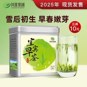 【2025新茶 下单立即发货】川茶集团 天府龙芽 四川宜宾早春茶 特级独芽绿茶 50g罐（京东同款）