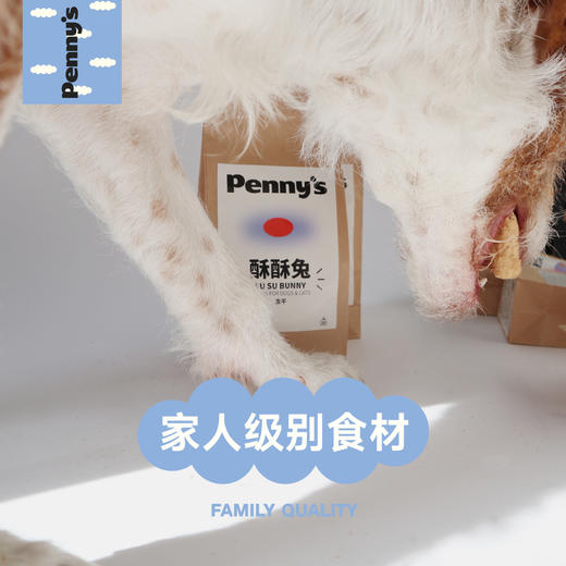 酥酥兔 冻干兔排猫狗零食 洁齿补钙神器 商品图7