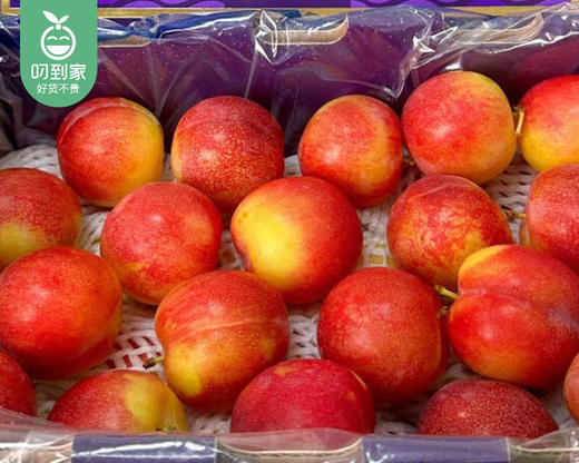 智利糖果李（500g±30g/盒） 商品图3