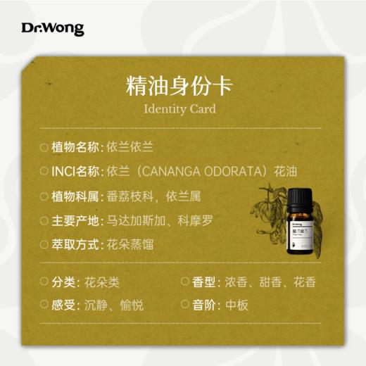 依兰依兰 单方精油 商品图2