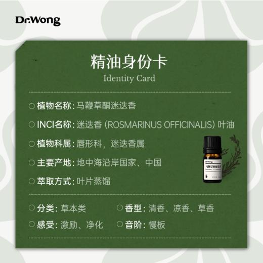 马鞭草酮迷迭香 单方精油 商品图2
