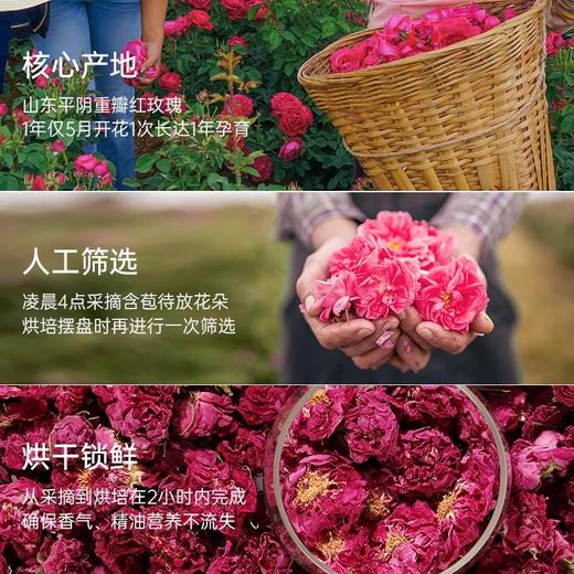 【分销】莳苋玫瑰花冠王  特级花冠茶，天然无添加，养生花茶优选，香气馥郁，花瓣饱满 商品图2