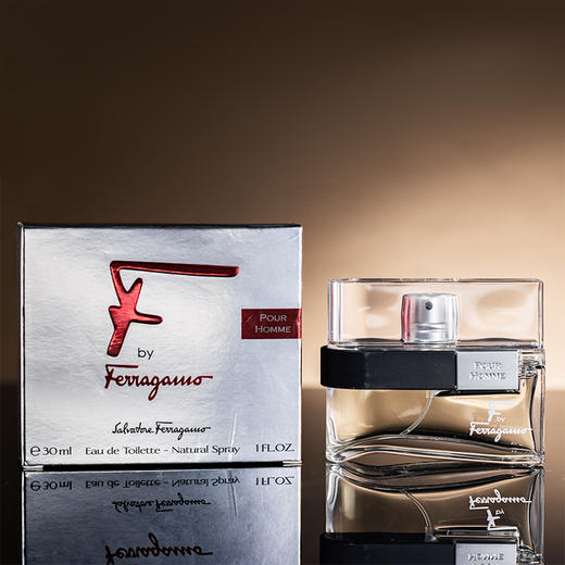 菲拉格慕 非我莫属男士 Salvatore Ferragamo F by Ferragamo Pour Homme 分装 商品图5