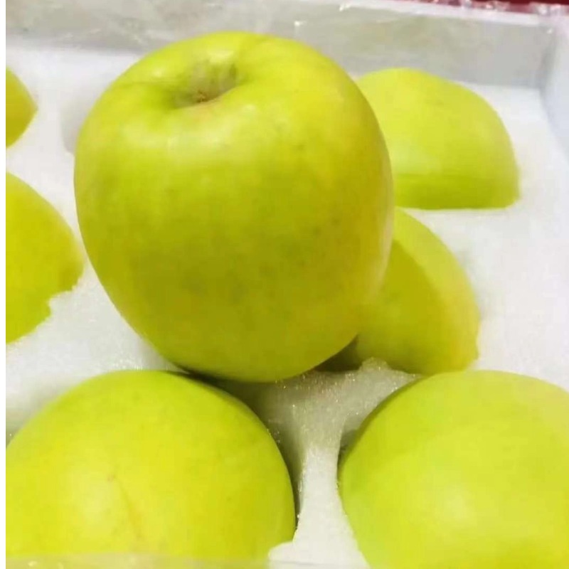 【顺丰快递】白水正宗瑞雪苹果 精品果 农大科研青苹果  花香脆甜苹果 净重4.5-5斤 BBSPG