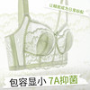 【298选3】D2-【B-E杯】【大胸显小 7A抑菌】轻薄透气蕾丝内衣女收副乳调整型薄款文胸  花藤月影 商品缩略图0