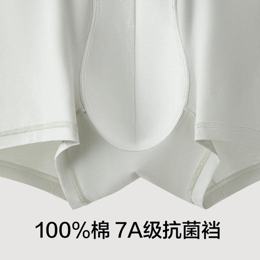 【新品上新】有棵树7A抗菌男士内裤3条装-U1161 商品图4