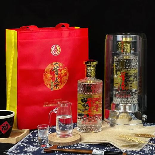 五粮液股份公司出品一尊天下经典 52度浓香型白酒 整箱500ml*6瓶包邮 商品图1