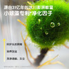 【自营】青蛙王子儿童洗发水无硅油弱酸性柔顺洗发露500ml 商品缩略图3