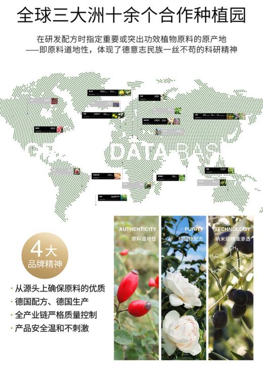 SCHATZE 玫瑰纯露喷雾 商品图1