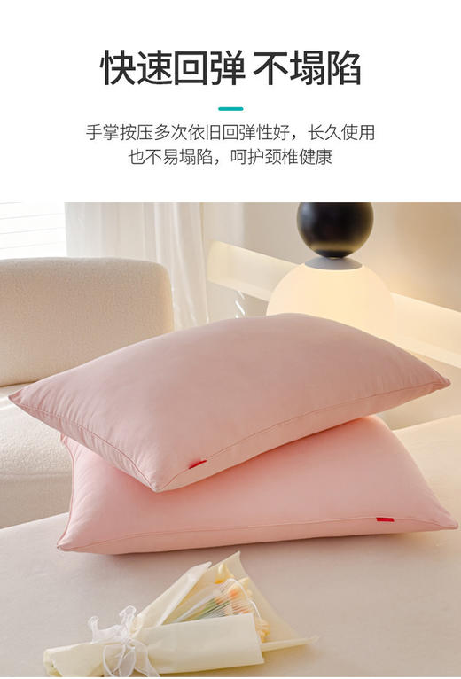 三套车CRSXZ-01超柔水洗枕 商品图1