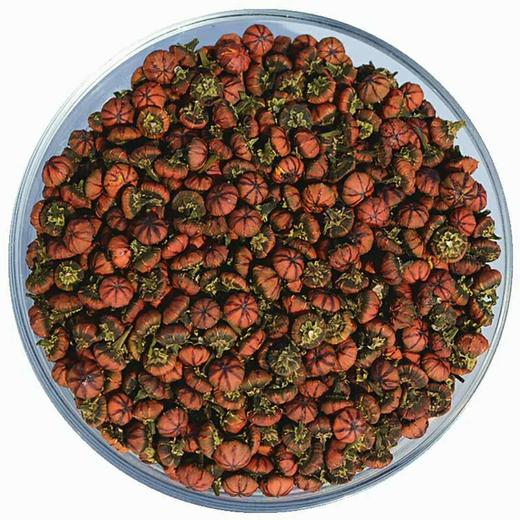 新疆直发 新疆特产新疆昆仑胎菊500g颗粒饱满天山雪原产地直供特产新货花茶 商品图4