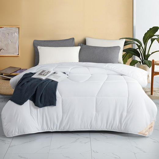 罗莱家纺 TG-格调纤维被200×230cm 商品图0